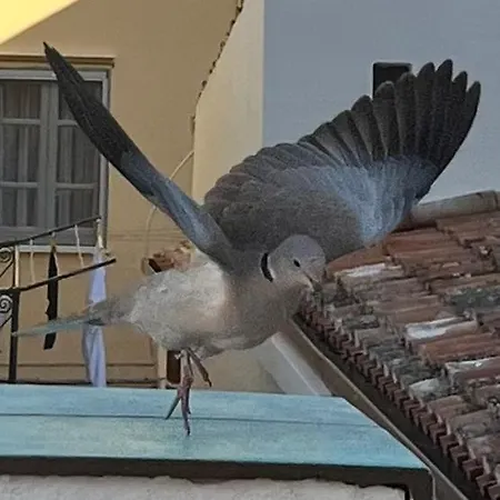 180° View Apartment Cefalu